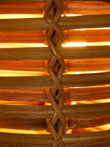 Junco Wall Light