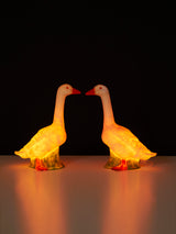 Làmpada Grosse Gans