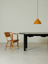 Parabolica Ceiling Lamp