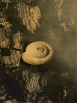 Mesa de comedor extensible