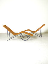 Parella de gandules de ferro i vímet