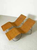 Parella de gandules de ferro i vímet