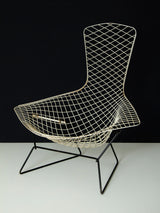 Bird Lounge Chair