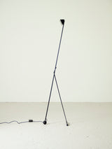 Carpyen Floor Lamp