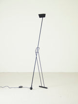 Carpyen Floor Lamp