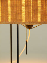 Iron and Raffia Table Lamp