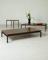 Mesa de centro de madera y hierro