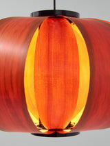 Lámpara de suspensión Disa