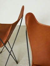 BKF Chairs