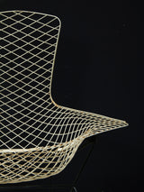 Bird Lounge Chair