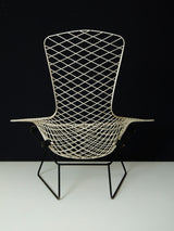 Bird Lounge Chair