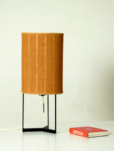 Iron and Raffia Table Lamp