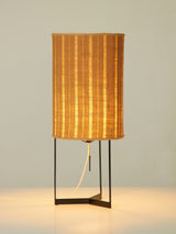 Iron and Raffia Table Lamp