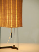 Iron and Raffia Table Lamp
