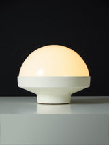 Plastic and Opaline Table Lamp