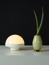 Plastic and Opaline Table Lamp