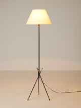 Iron and Fabric Floor Lamp